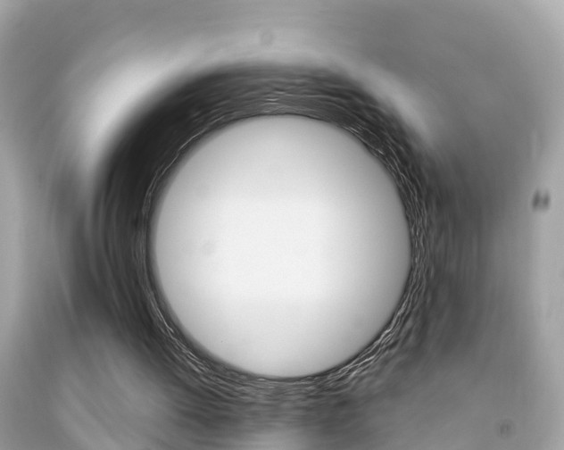 X0000091860052200709051005