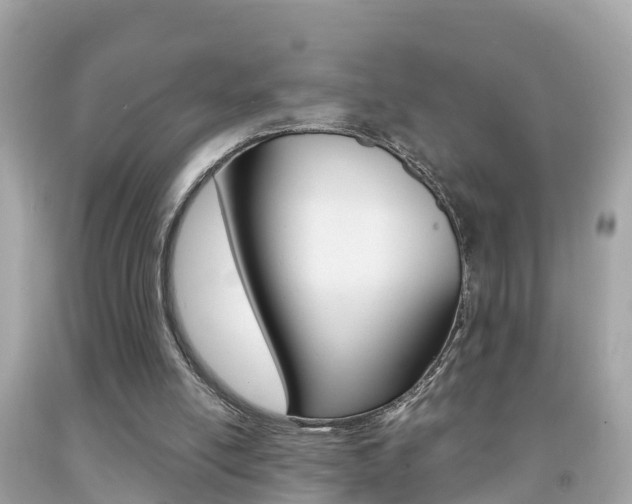 X0000091860054200709051005