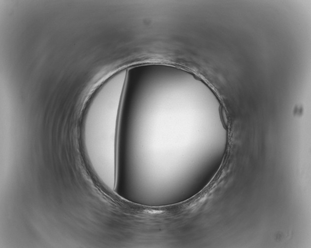 X0000091860055200709051005