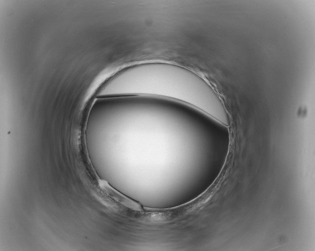 X0000091860056200709051005