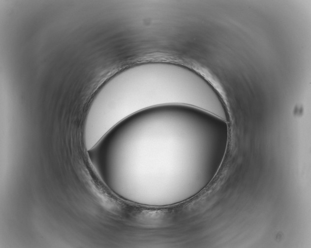 X0000091860057200709051005