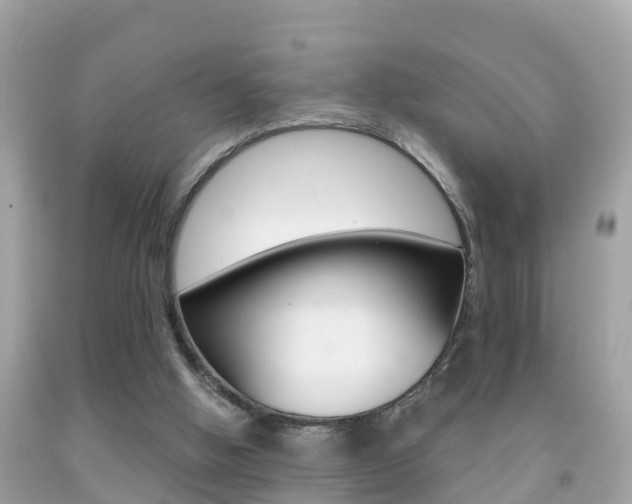 X0000091860058200709051005