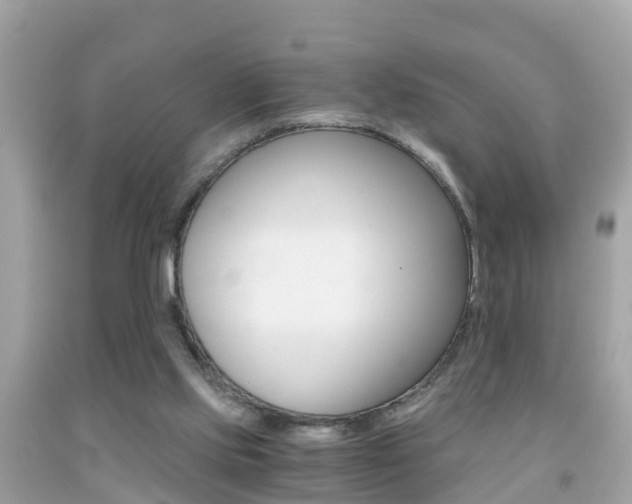 X0000091860061200709051005