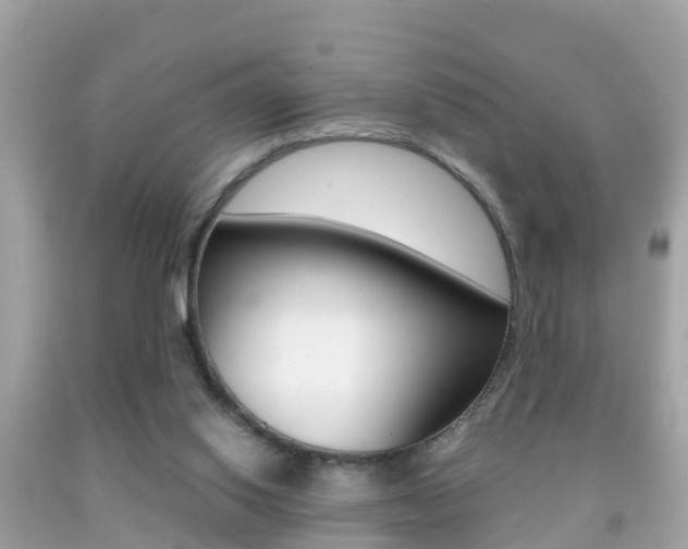 X0000091860062200709051005