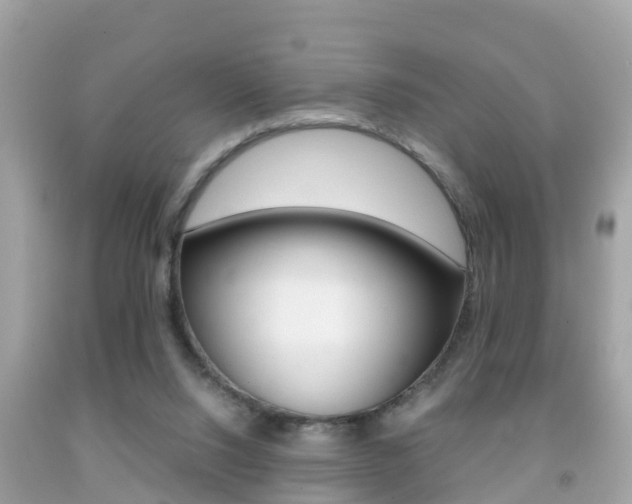 X0000091860064200709051005