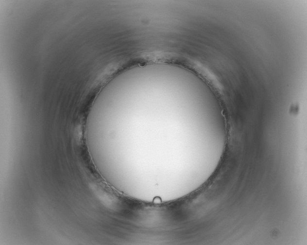 X0000091860065200709051005