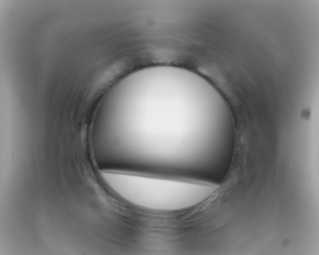 X0000091860066200709051005