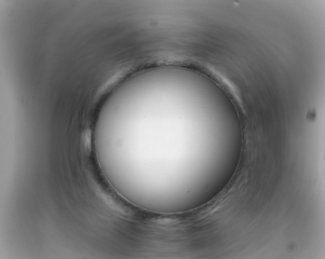 X0000091860067200709051005