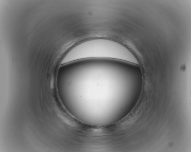 X0000091860068200709051005