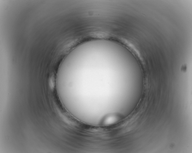 X0000091860069200709051005