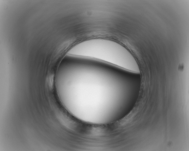 X0000091860070200709051005