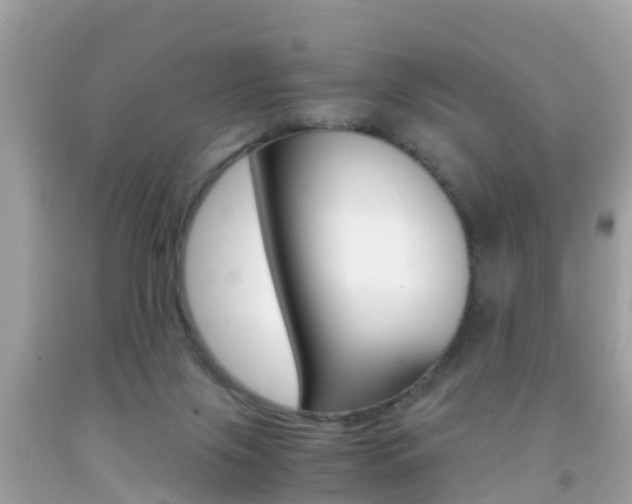X0000091860071200709051006