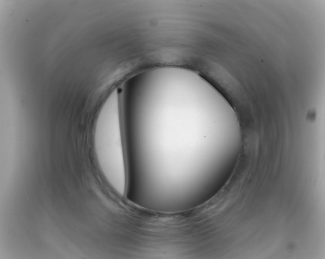 X0000091860072200709051006