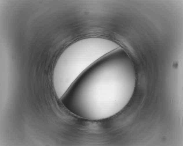 X0000091860073200709051006
