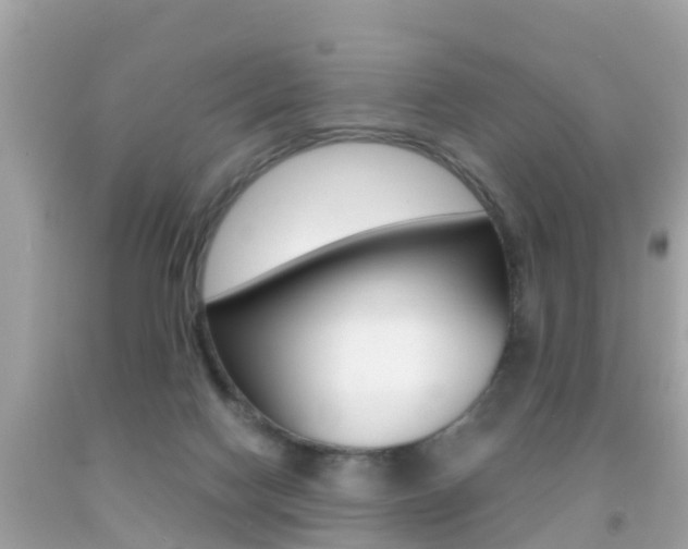 X0000091860074200709051006