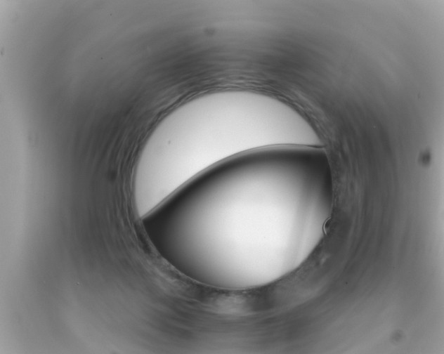 X0000091860075200709051006