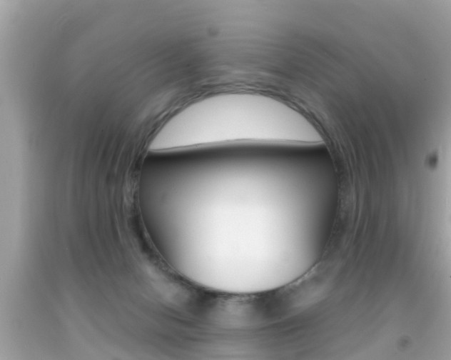 X0000091860078200709051006