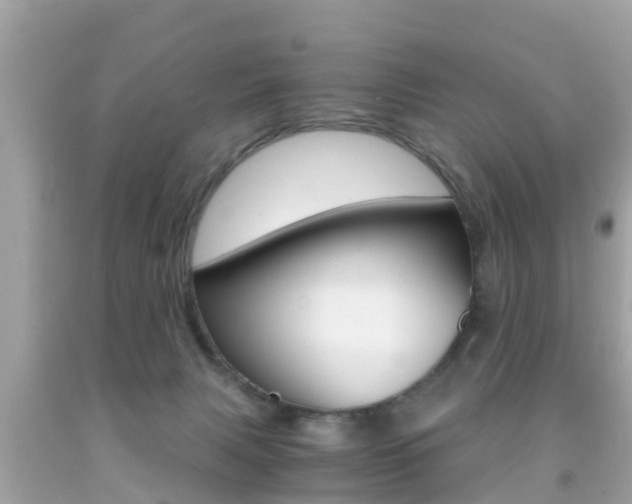 X0000091860079200709051006