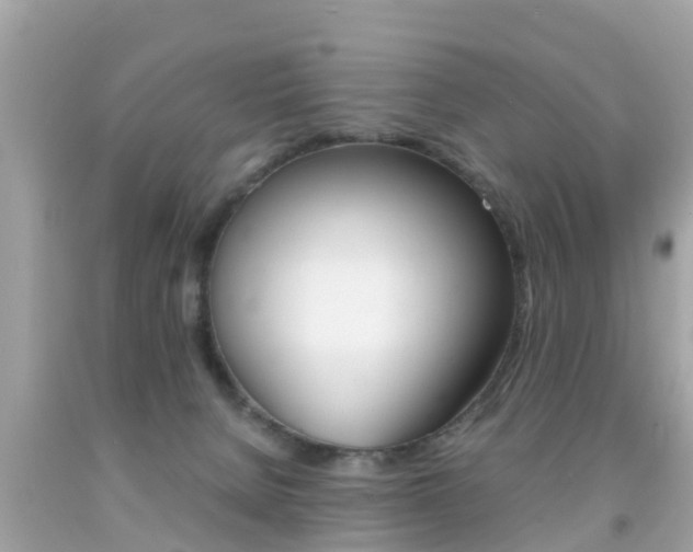 X0000091860080200709051006