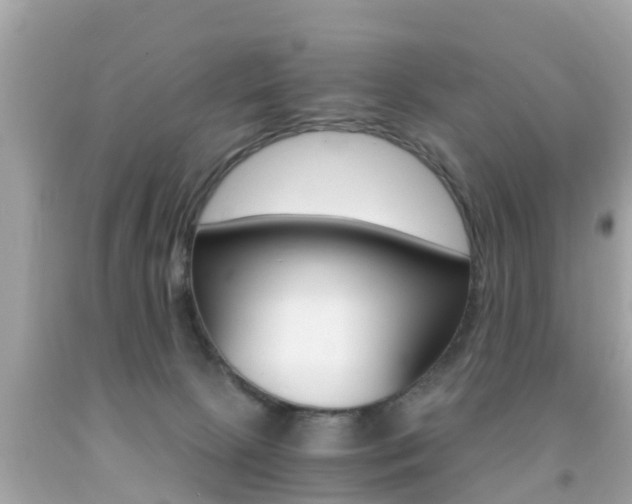 X0000091860081200709051006