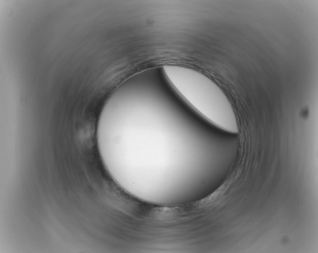 X0000091860082200709051006