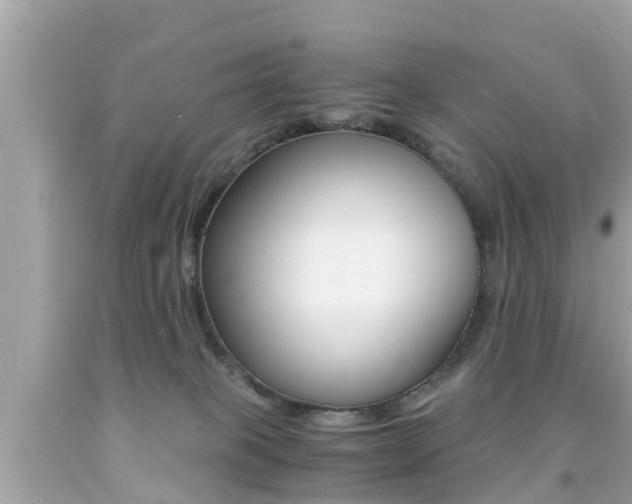 X0000091860085200709051006