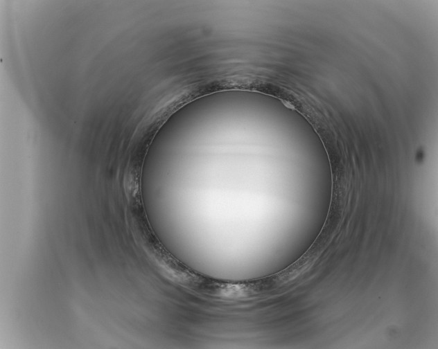 X0000091860091200709051006