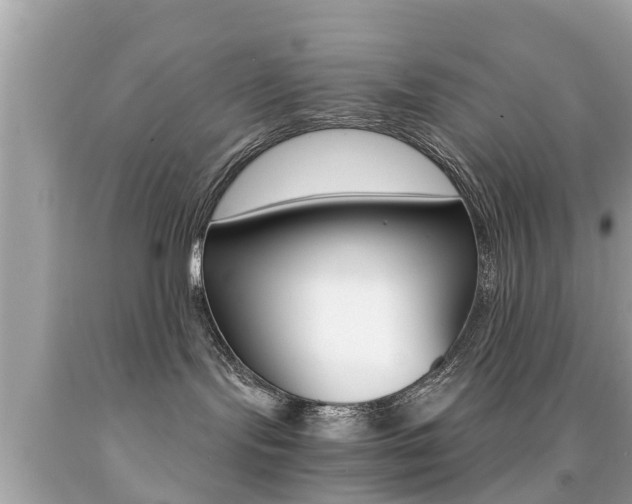 X0000091860095200709051006