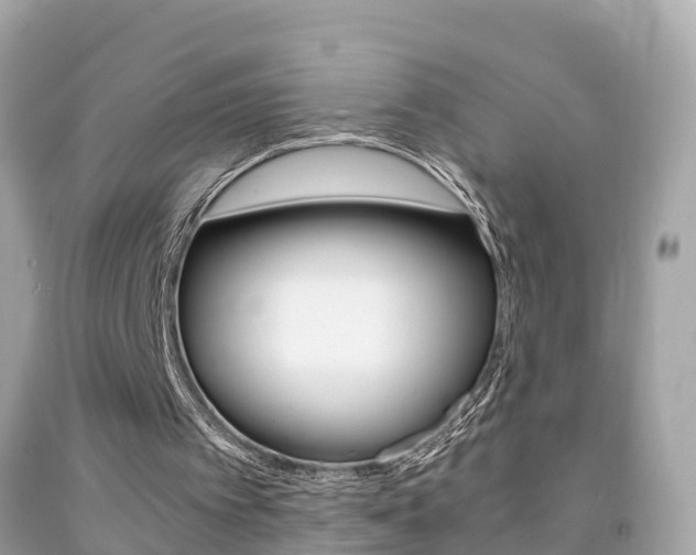 X0000091860097200709051005