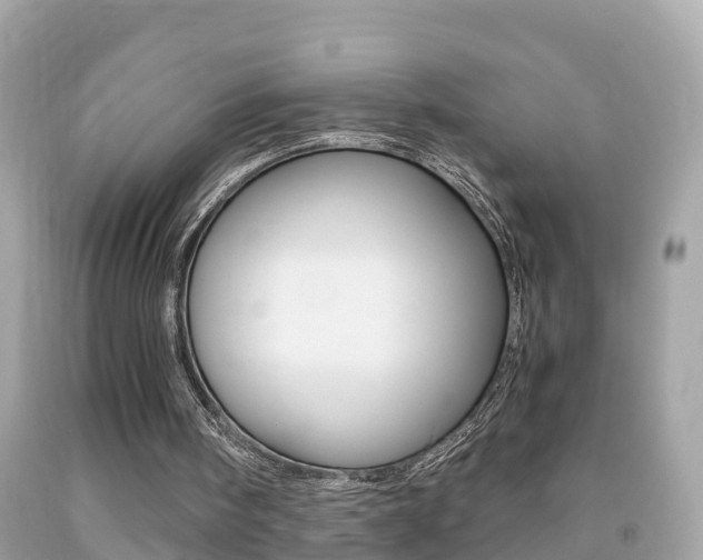 X0000091860098200709051005