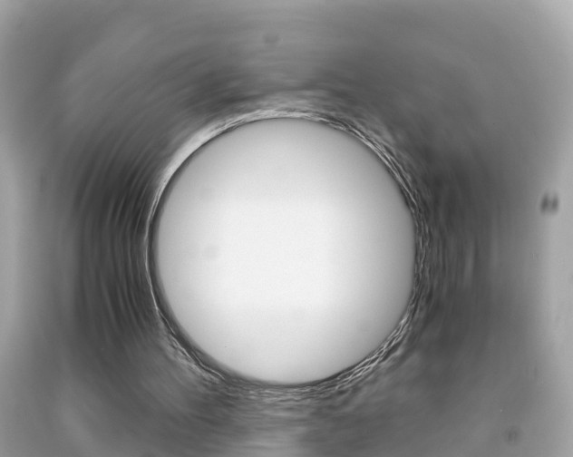 X0000091860100200709051005