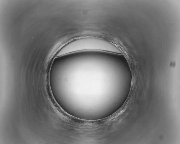 X0000091860101200709051005