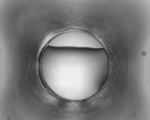 X0000091860102200709051005