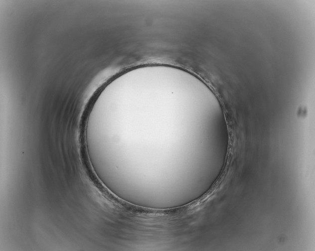 X0000091860104200709051005