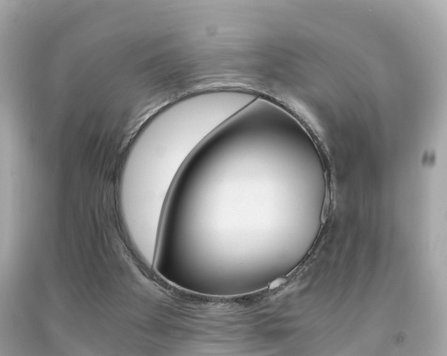 X0000091860105200709051005
