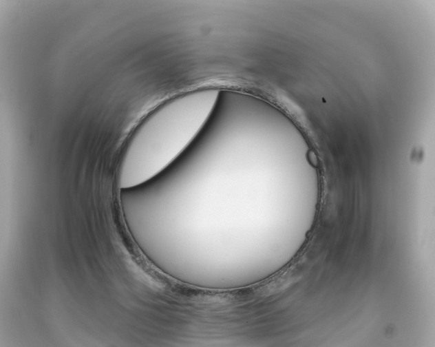 X0000091860106200709051005