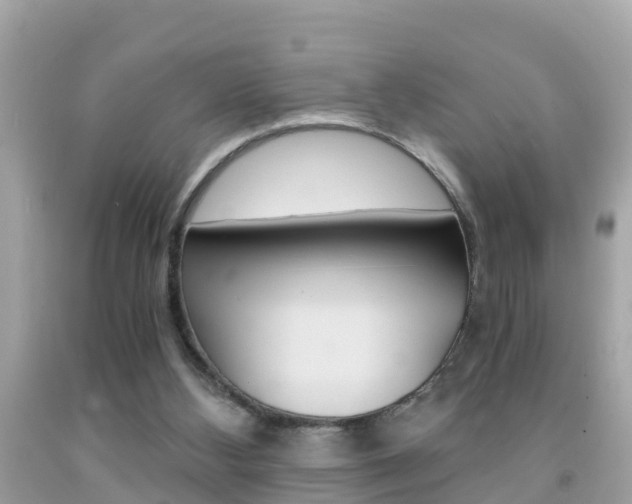 X0000091860108200709051005