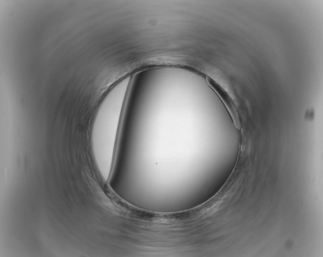 X0000091860109200709051005