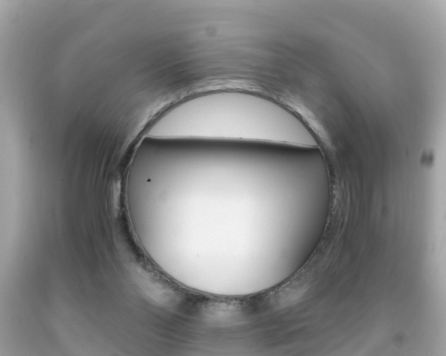 X0000091860110200709051005