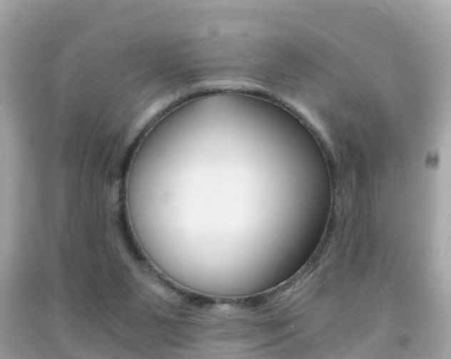 X0000091860111200709051005