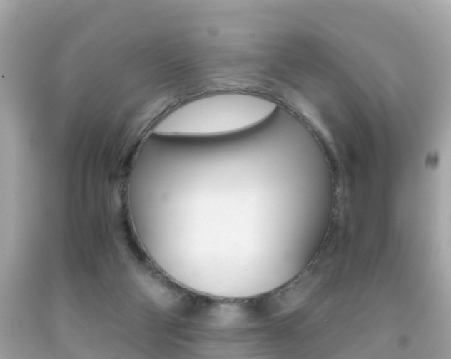 X0000091860114200709051005