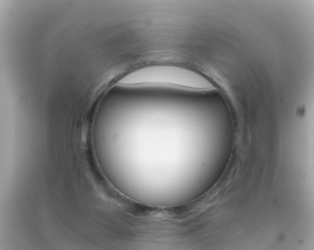 X0000091860115200709051005