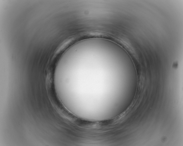 X0000091860116200709051005