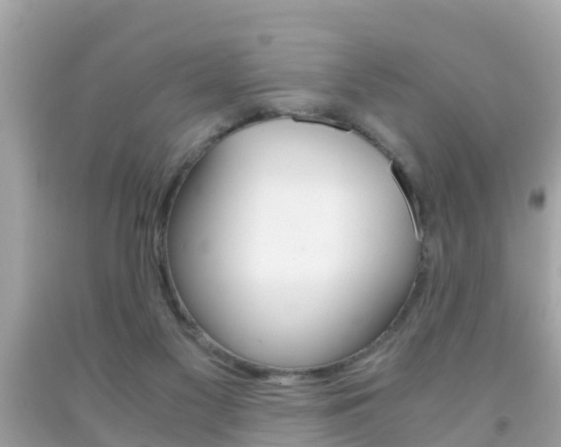 X0000091860117200709051005