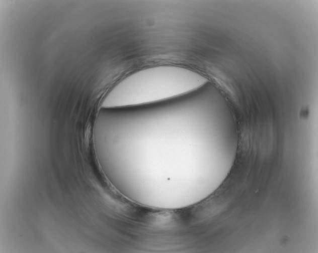 X0000091860118200709051005