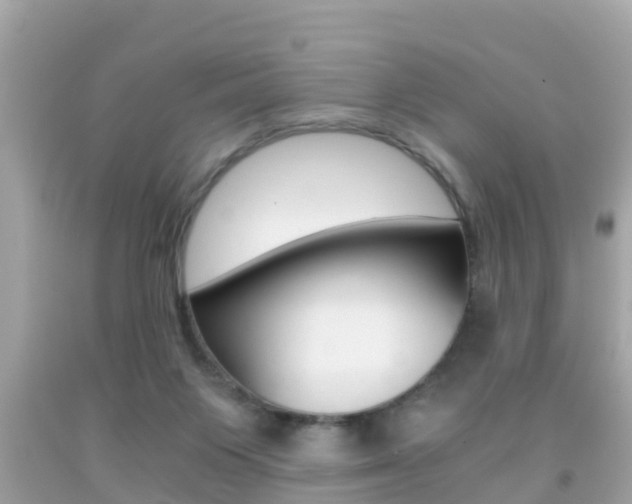 X0000091860119200709051005
