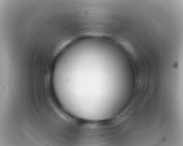 X0000091860120200709051005