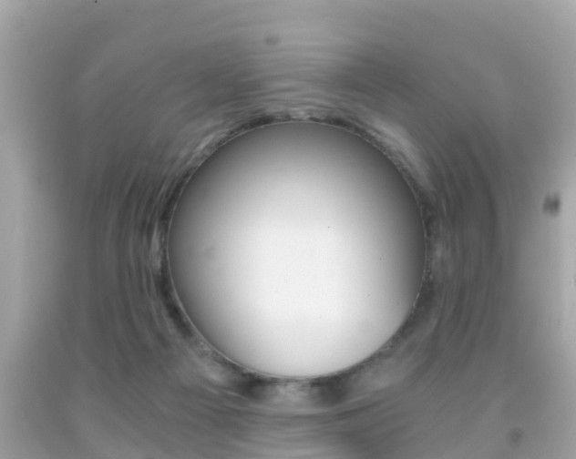 X0000091860121200709051005