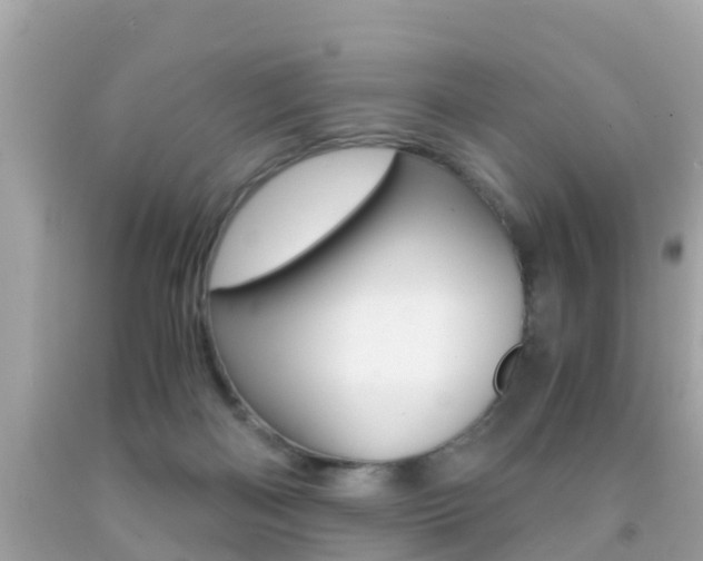 X0000091860122200709051005