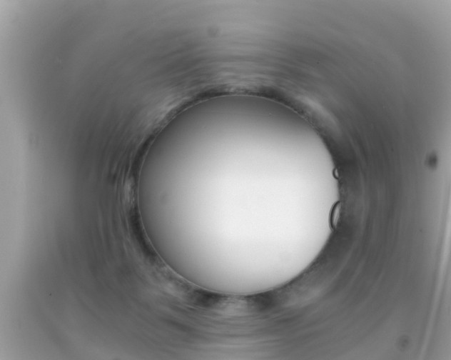 X0000091860123200709051005